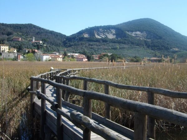foto-lago-di-massaciuccoli-oasi-lipu