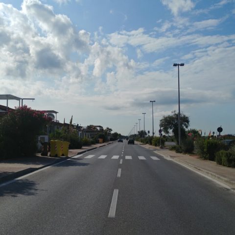 Vialone di Viareggio