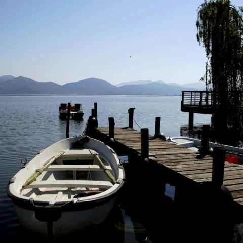Lago di Torre del Lago Puccini