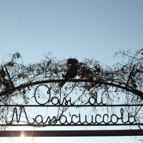Ingresso Oasi Lipu di Massaciuccoli