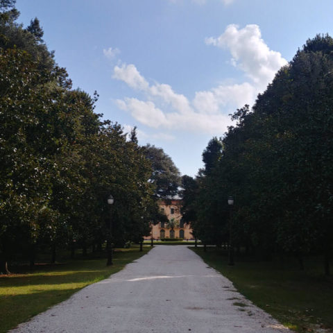 Villa Borbone Viareggio Versilia