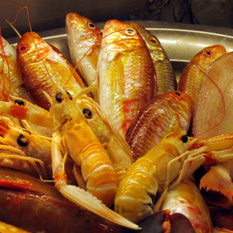 Piatti di Pesce Viareggio
