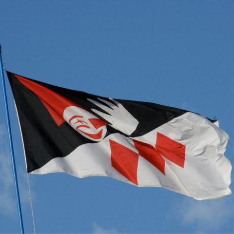 Bandiera Burlamacco di Viareggio