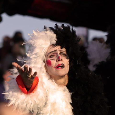 Costumi Carnevale di Viareggio