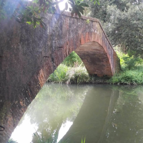 Ponte del Principe La Versiliana