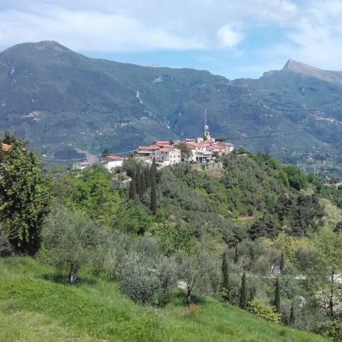 Panorama di Pedona