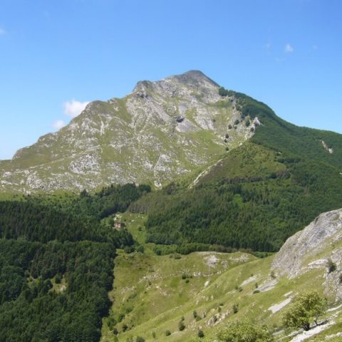 Alpi Apuane Levigliani