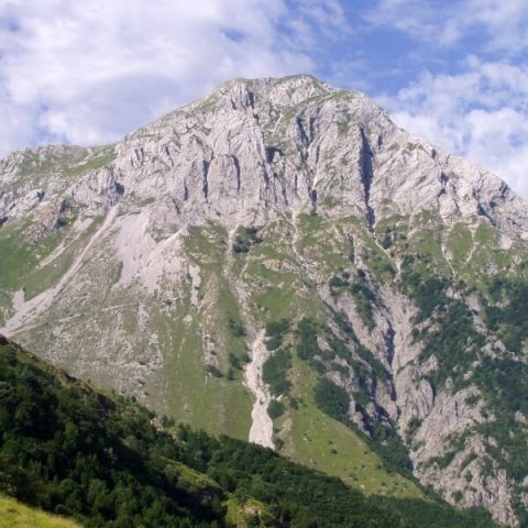 Levigliani Alta Versilia