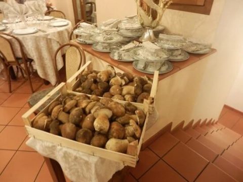 Ristorante Le Meraviglie Camaiore