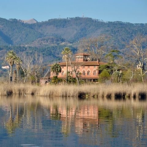 Villa Ginori Lago di Massaciuccoli