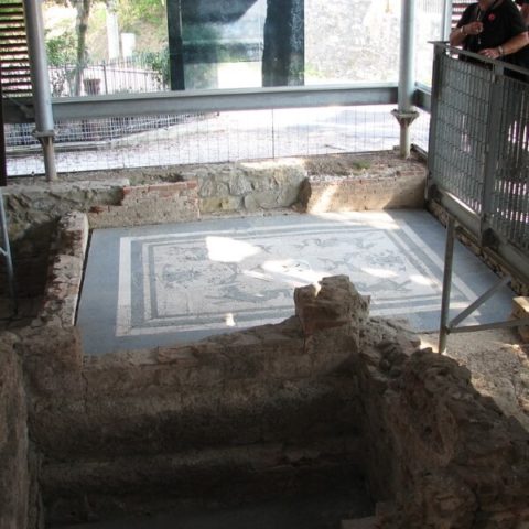 MAssaciuccoli Romana Mosaico